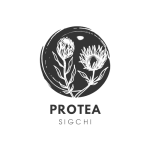 Proteachi